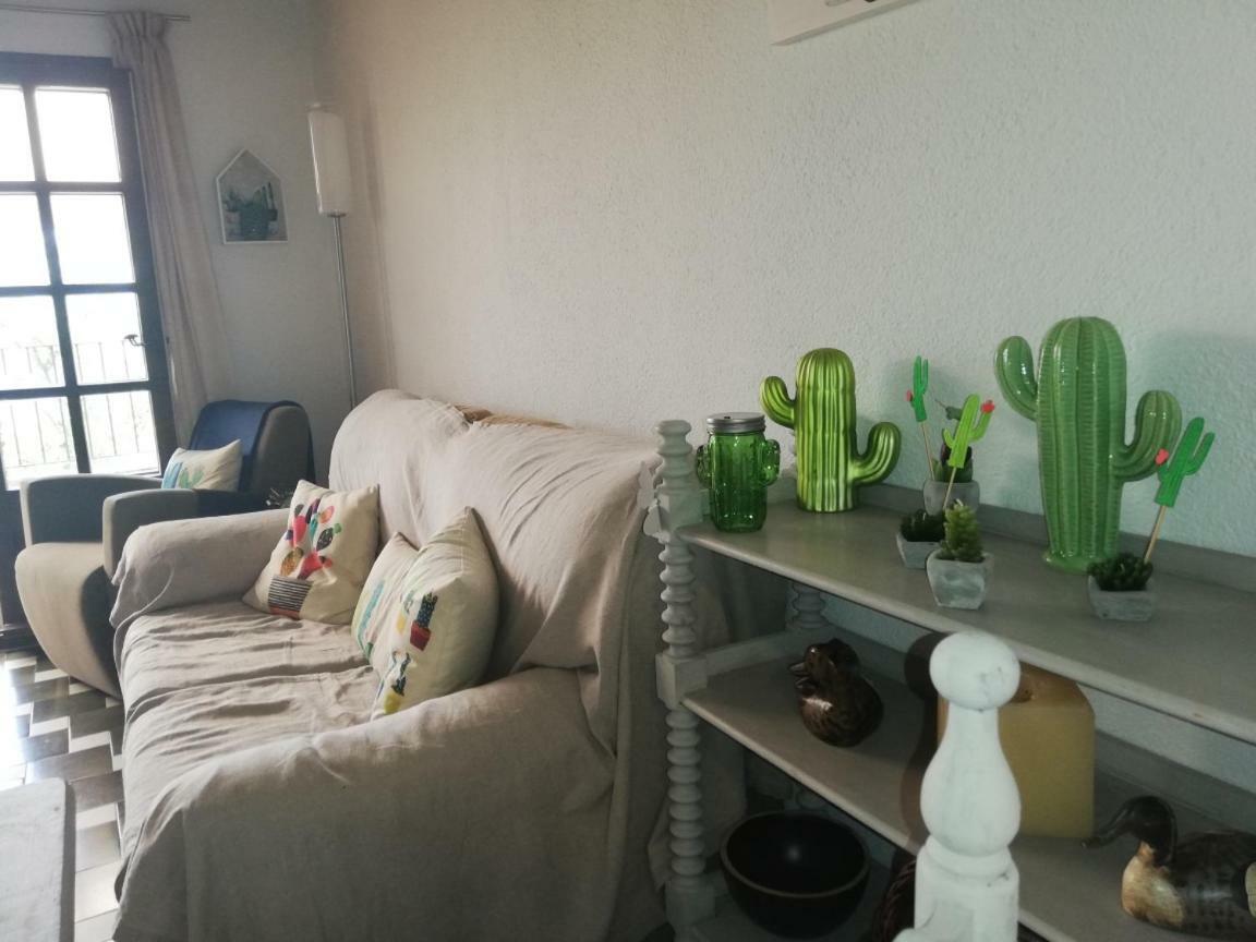 Can Cactus Garriguella Bagian luar foto