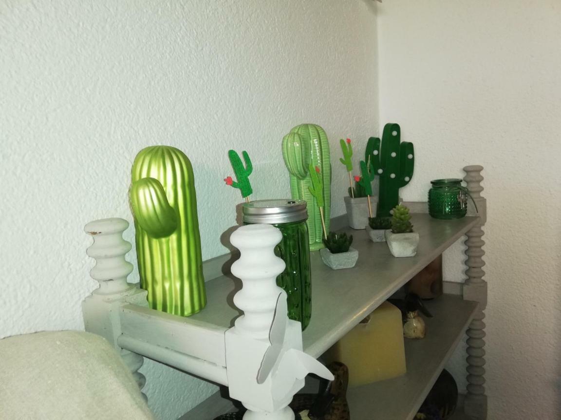 Can Cactus Garriguella Bagian luar foto